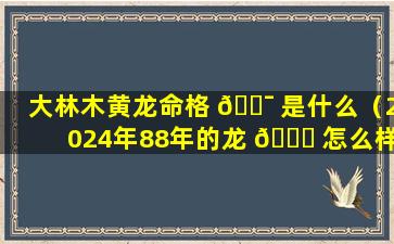大林木黄龙命格 🐯 是什么（2024年88年的龙 🐕 怎么样）
